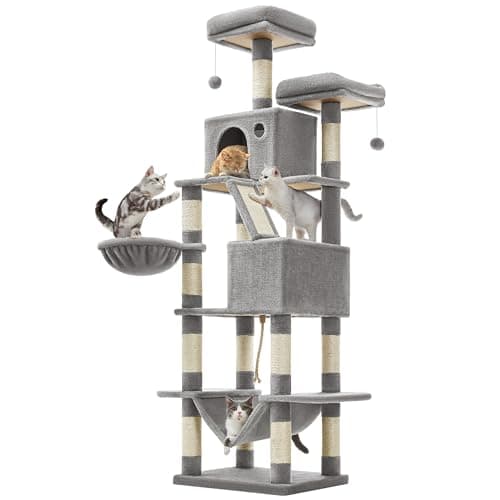 10 Best Cat Trees in 2026