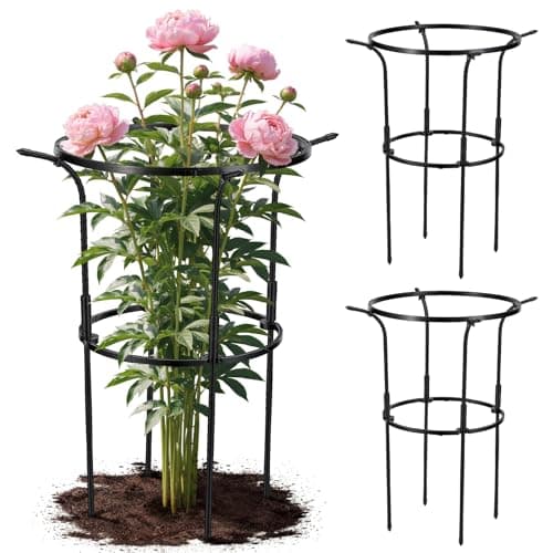 Circular Ring Bloom - image 1