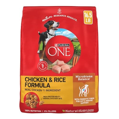 Purina ONE Chicken and Rice Formula Dry Dog Food